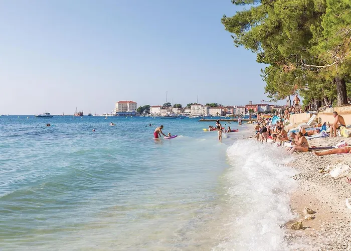 شقة Awesome In Novigrad With Wifi
